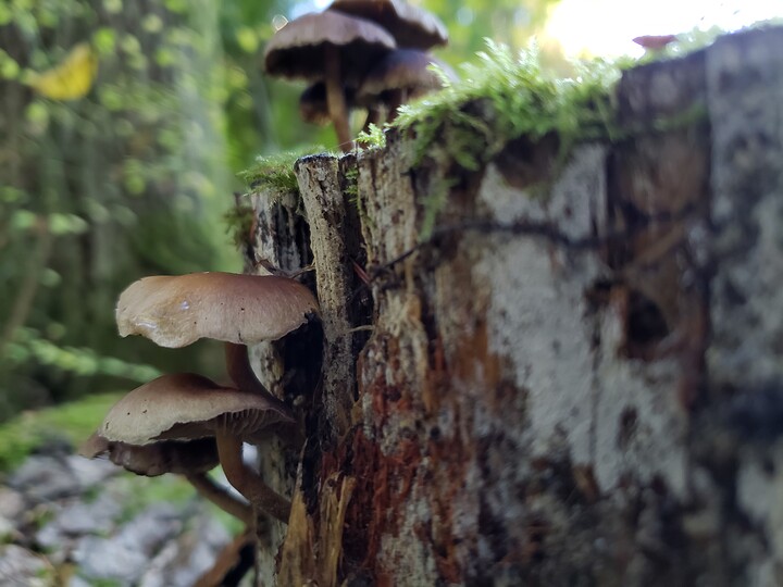 20181118_135101