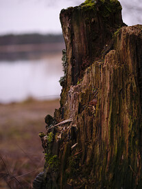 P1000220