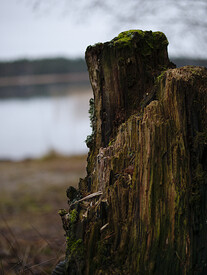 P1000221