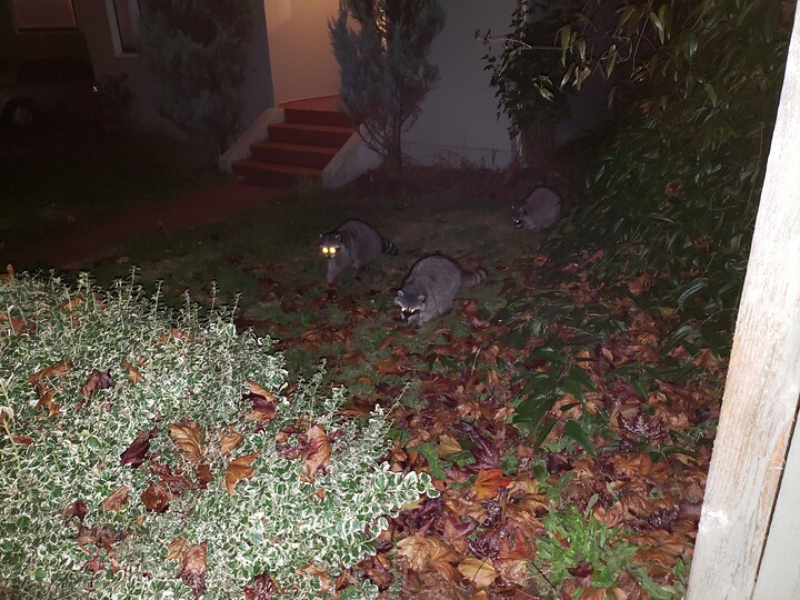 20181113_194821