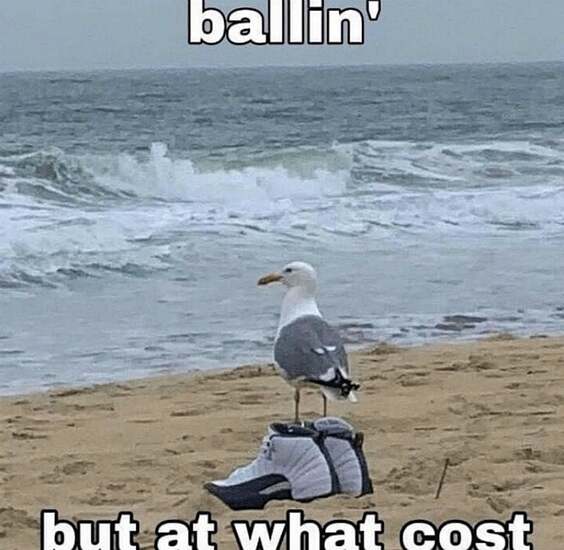 ballin-but-at-what-cost-seagull-wearing-jordans-meme