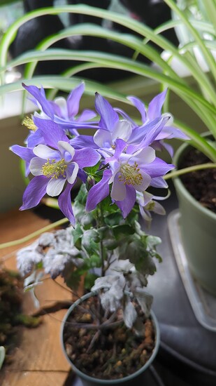 IMG_20251110_142147_216