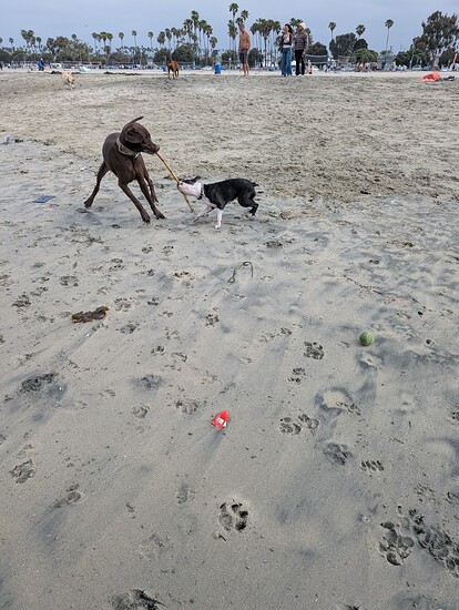 PXL_20250526_163825621