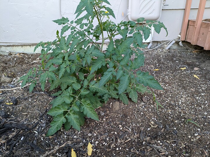 PXL_20241020_233404590