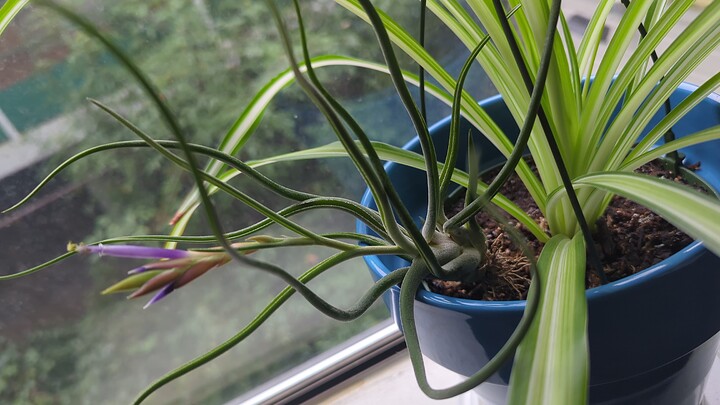 IMG_20241225_142227_855