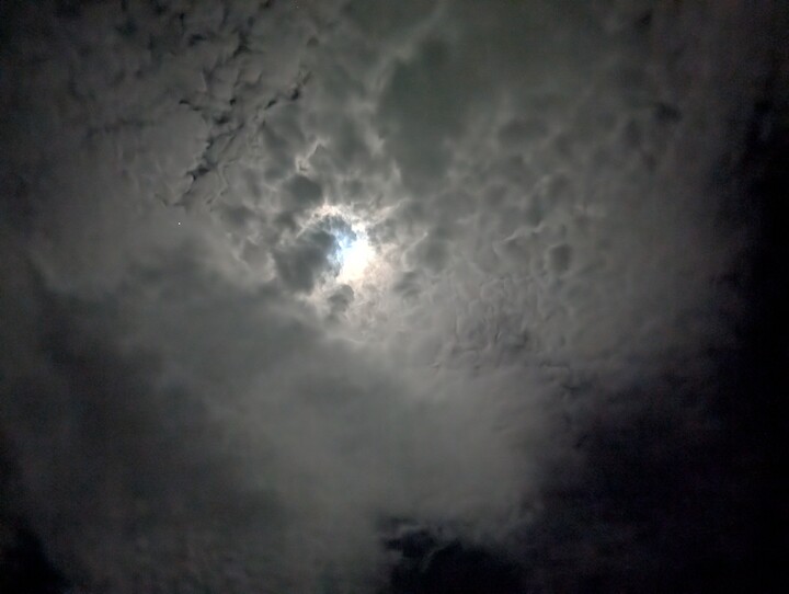 PXL_20250307_114607030