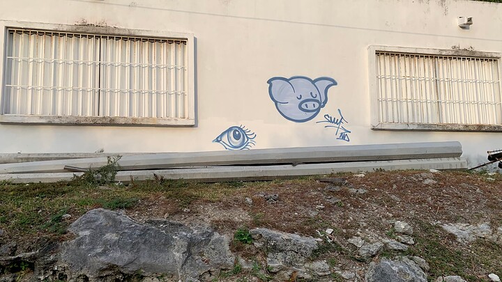 pig graffiti