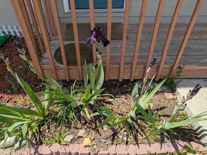 PXL_20250528_172757770