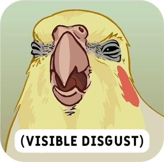 fd99c73123f9d3c76fe3d3cb9414f1a2-3439632361