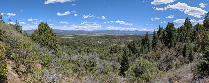 PXL_20260523_190309057.PANO