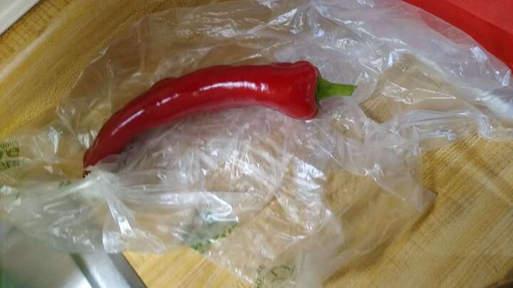 chicken enchiladas april 28th 2025 pic 3