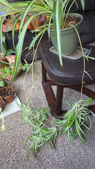 IMG_20250802_160229_775