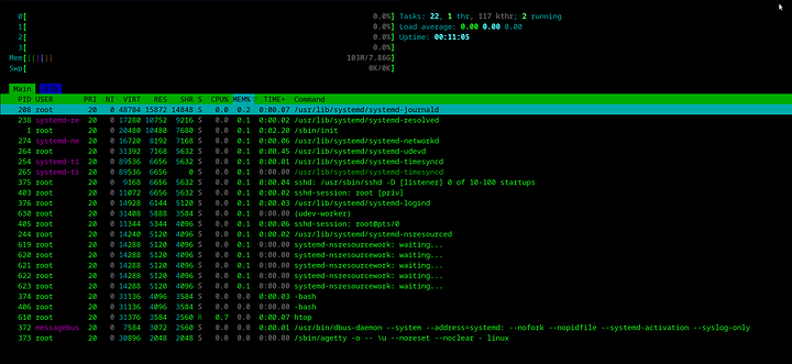 htop_without_symbols