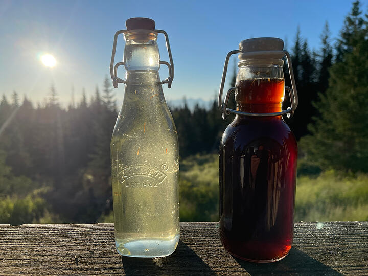 spruce syrup