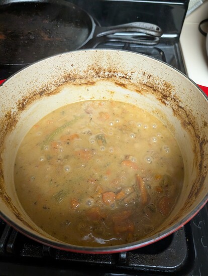 PXL_20241124_005635336.RAW-01.MP.COVER