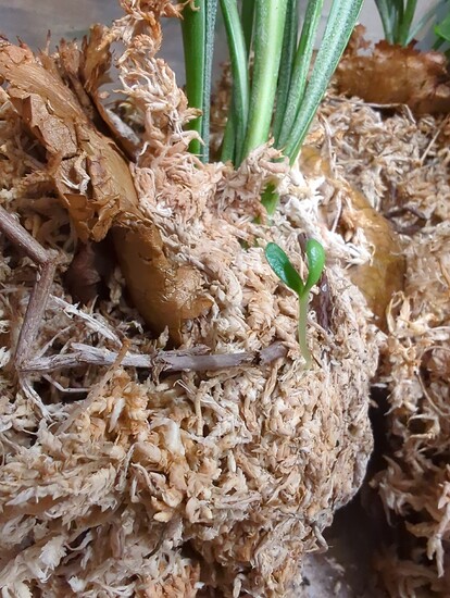 IMG_20240616_213106_800