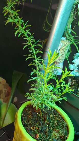 IMG_20241027_141843_378