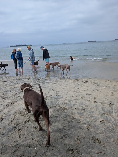 PXL_20250526_163110393