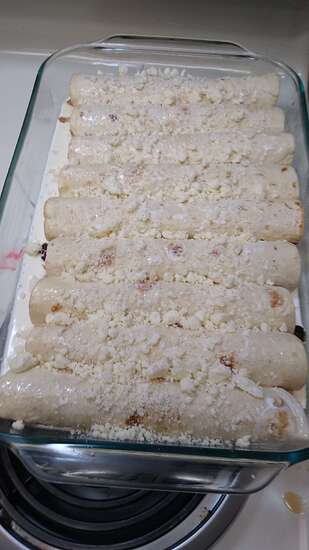 chicken enchiladas april 28th 2025 pic 6