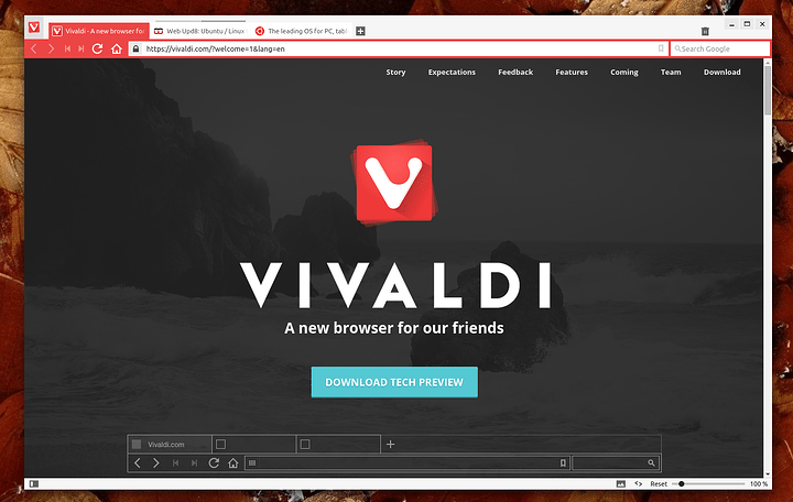 vivaldi-browser