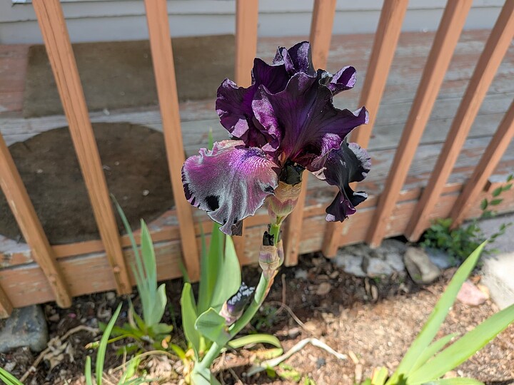 PXL_20250528_172807851