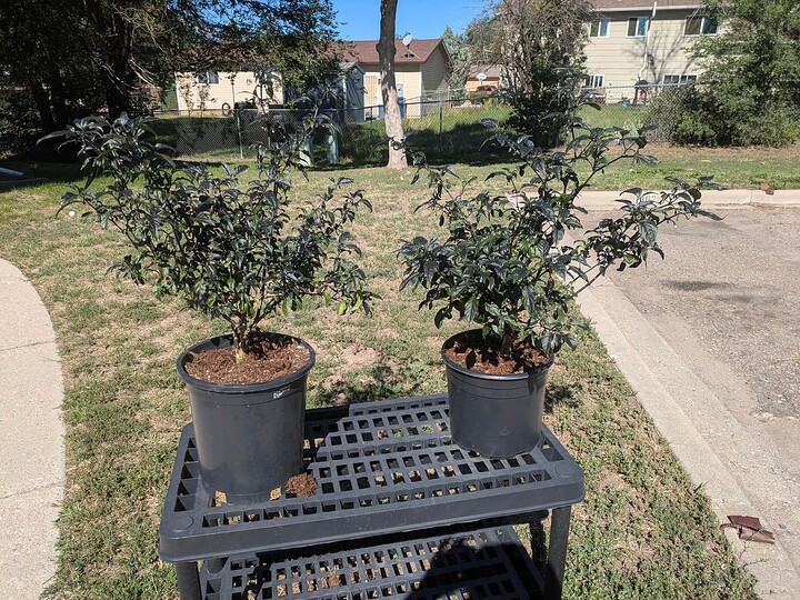 PXL_20250910_162803340