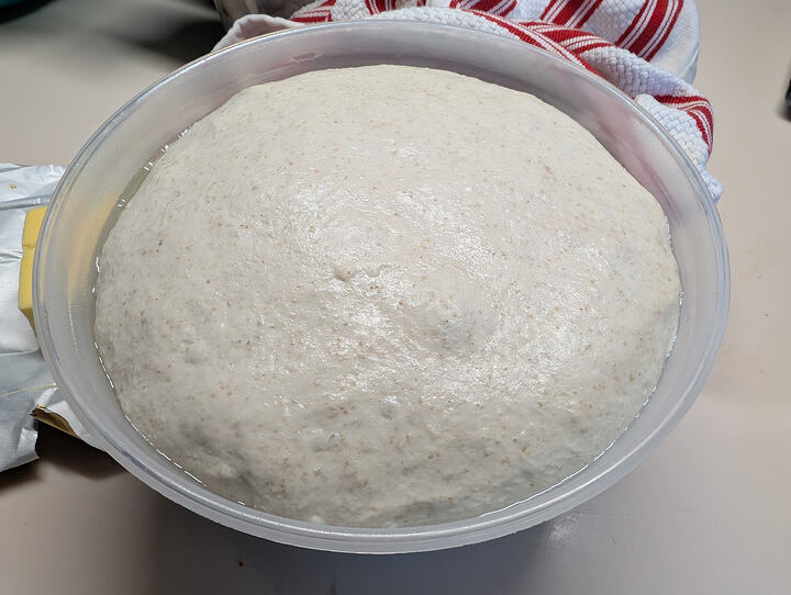 PXL_20261004_001616240.RAW-01