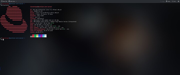 20250716_190846-aurelion-core-server_fastfetch