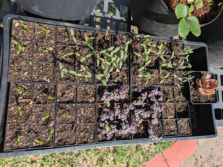 PXL_20250509_154034014~2