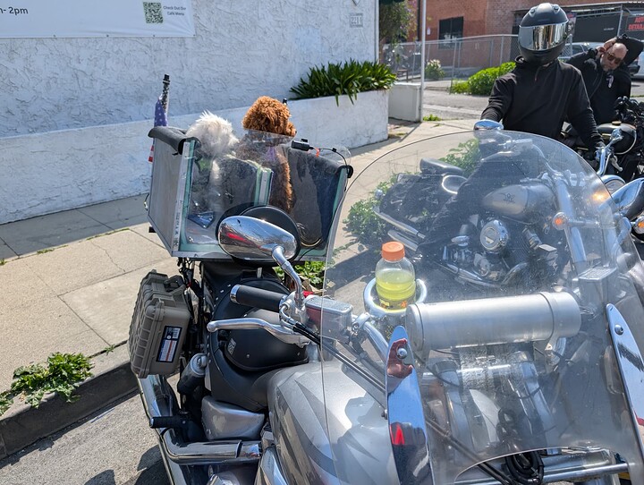 PXL_20250412_173344711