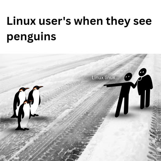 Gq4_fm4XYAAqHXS
