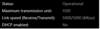 Server_5GBe_Link_Speed